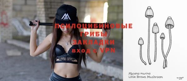 apvp Алексин