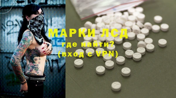 apvp Алексин