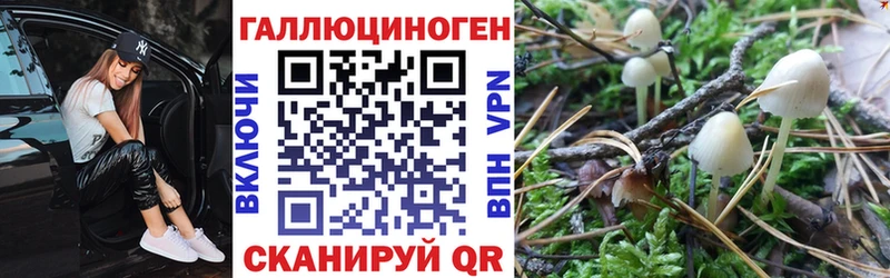 Галлюциногенные грибы GOLDEN TEACHER купить сайты Казань